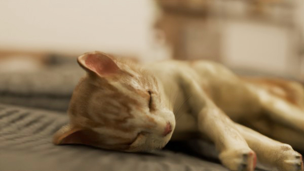 脱出ゲーム 寝室には猫がいた